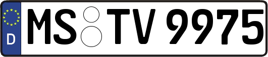 MS-TV9975