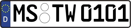 MS-TW0101