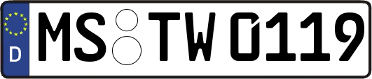 MS-TW0119
