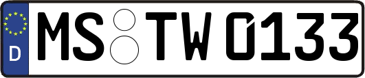 MS-TW0133