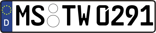 MS-TW0291