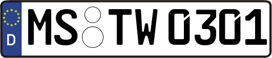 MS-TW0301