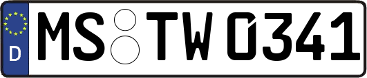MS-TW0341