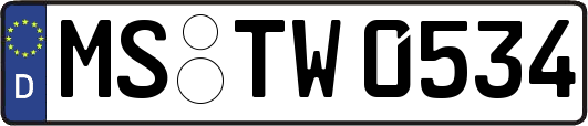 MS-TW0534