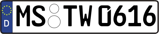 MS-TW0616