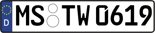 MS-TW0619