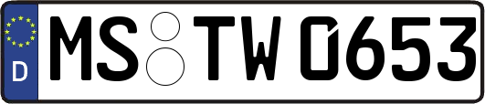 MS-TW0653