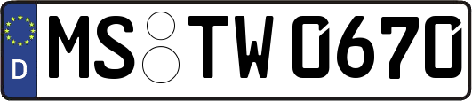 MS-TW0670