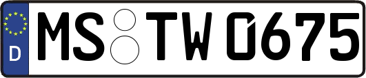 MS-TW0675