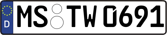 MS-TW0691