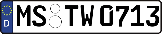 MS-TW0713