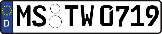 MS-TW0719
