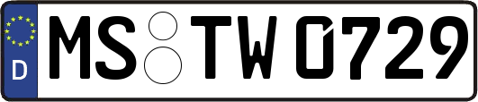 MS-TW0729