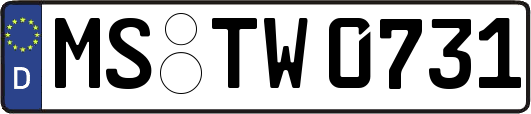 MS-TW0731