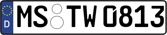 MS-TW0813