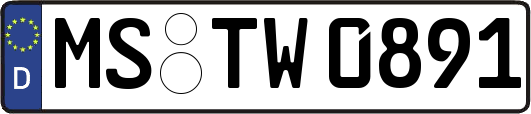 MS-TW0891