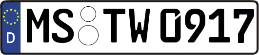 MS-TW0917