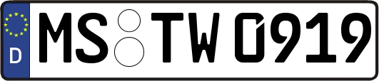 MS-TW0919