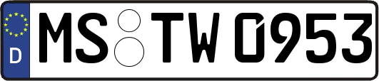 MS-TW0953