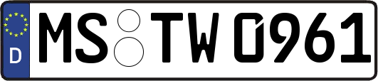MS-TW0961