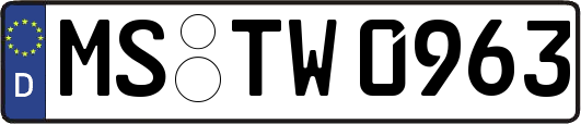 MS-TW0963