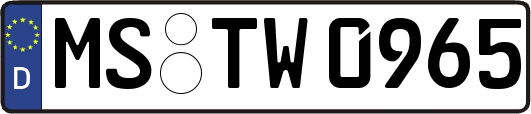 MS-TW0965