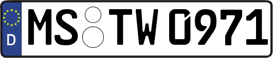 MS-TW0971
