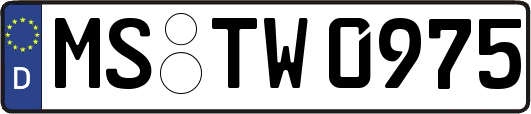 MS-TW0975
