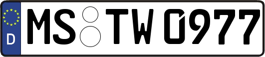 MS-TW0977