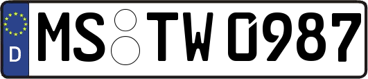 MS-TW0987