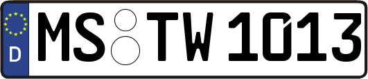 MS-TW1013