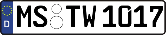 MS-TW1017