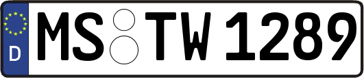 MS-TW1289