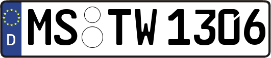 MS-TW1306