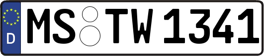 MS-TW1341
