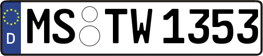 MS-TW1353