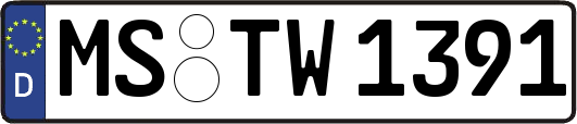 MS-TW1391