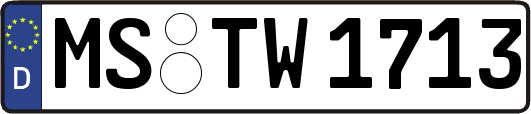 MS-TW1713