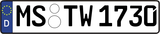MS-TW1730