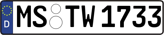 MS-TW1733