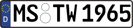 MS-TW1965