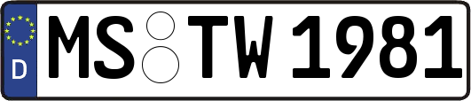 MS-TW1981
