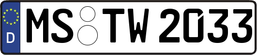 MS-TW2033