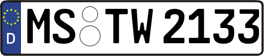 MS-TW2133
