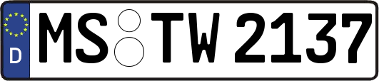 MS-TW2137