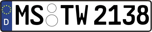 MS-TW2138