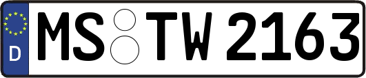 MS-TW2163