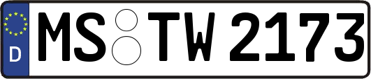 MS-TW2173