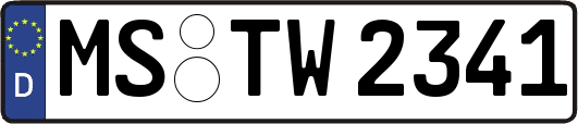 MS-TW2341