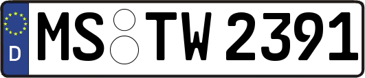 MS-TW2391